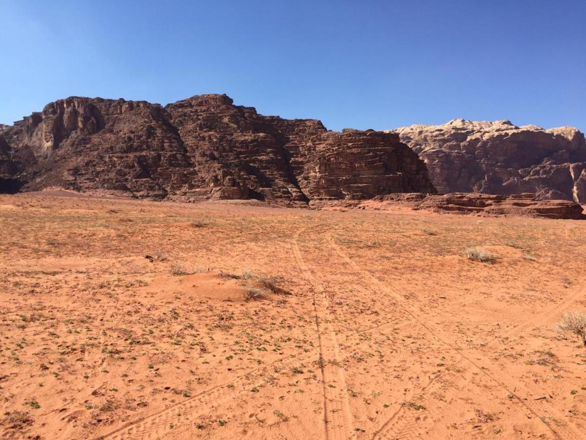 Wadi Rum Bedouin Experience Hotel Kültér fotó