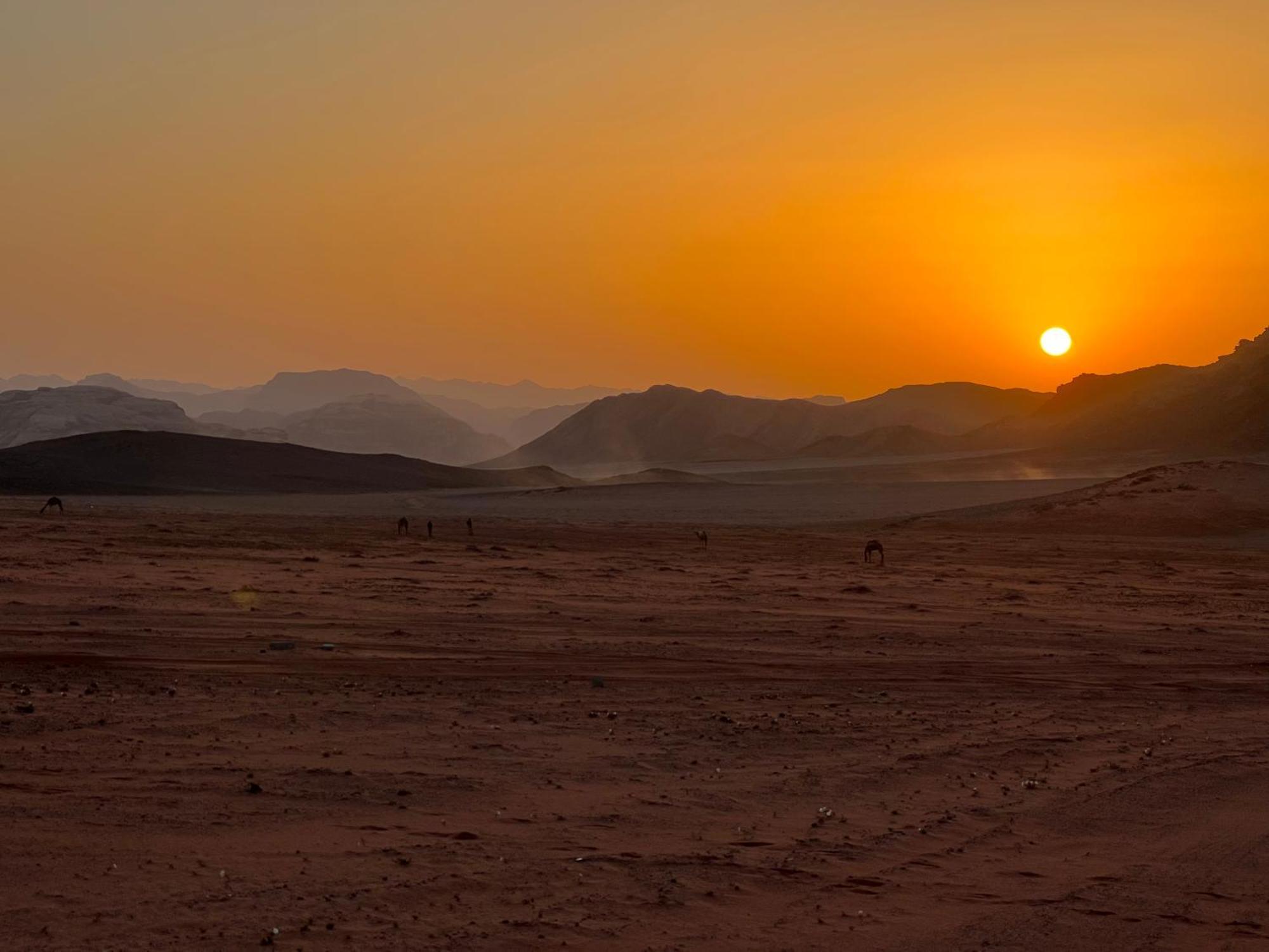 Wadi Rum Bedouin Experience Hotel Kültér fotó