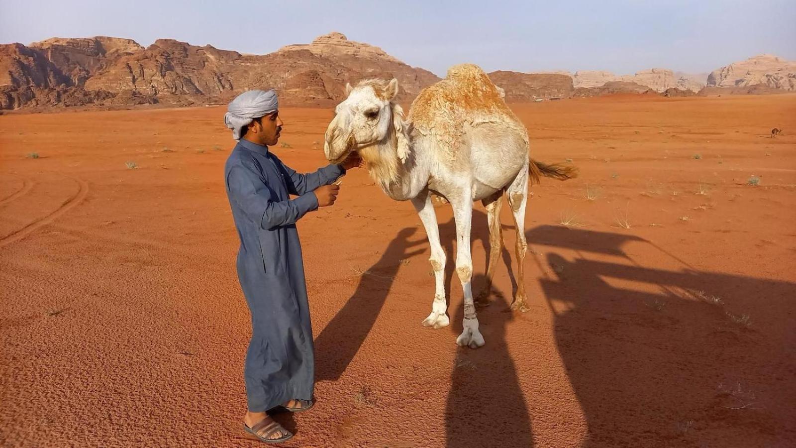 Wadi Rum Bedouin Experience Hotel Kültér fotó